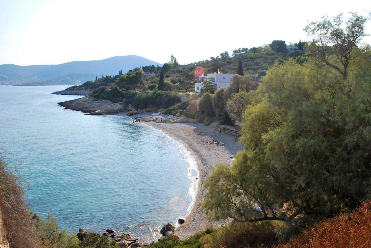 Villa Liana : Luxury Villa With Fantastic Sea View, Near Airport Pórto Ráfti Exterior foto
