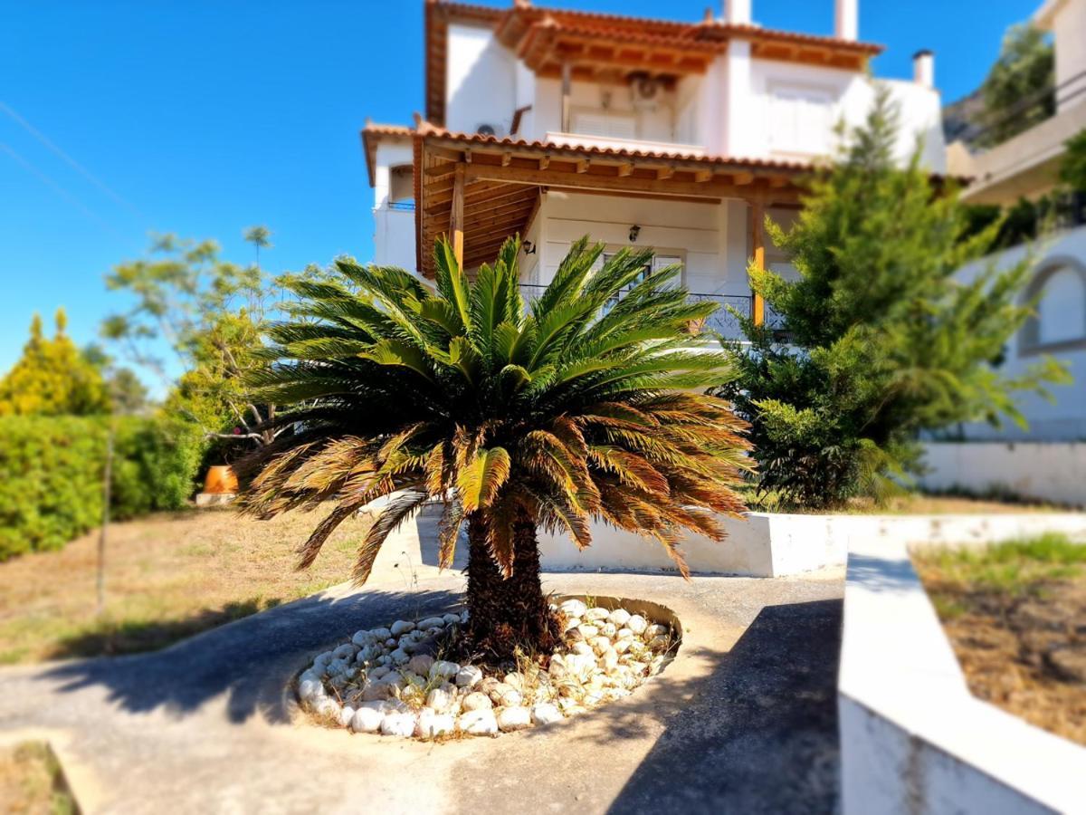 Villa Liana : Luxury Villa With Fantastic Sea View, Near Airport Pórto Ráfti Exterior foto